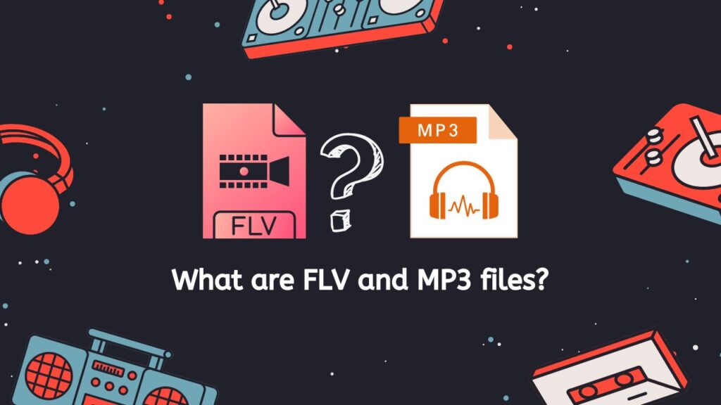 What are FLV and MP3 files