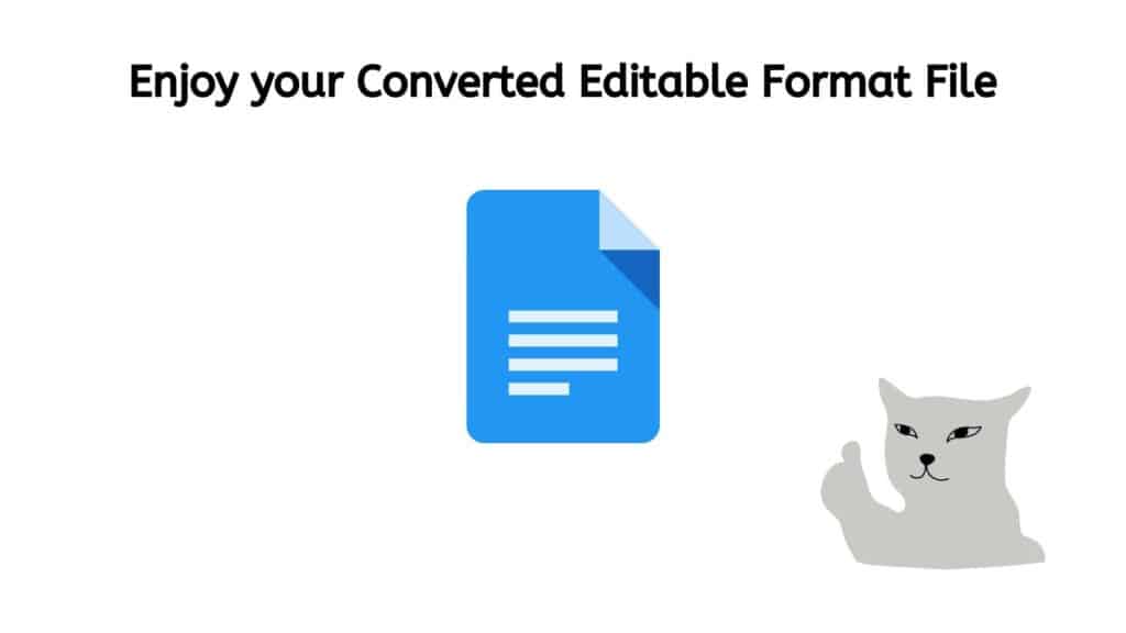 Enjoy your Converted Editable Format file